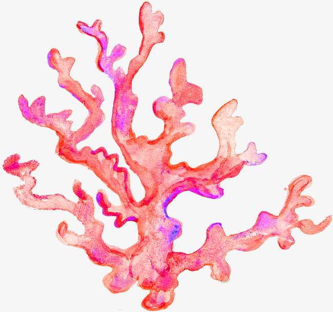 koralové_odstíny